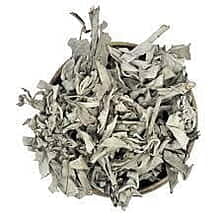 Sage - Salvia Officinalis Linnaeus